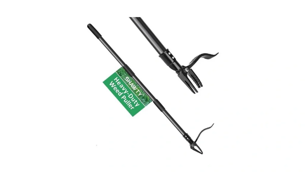 Verified image for post 101832