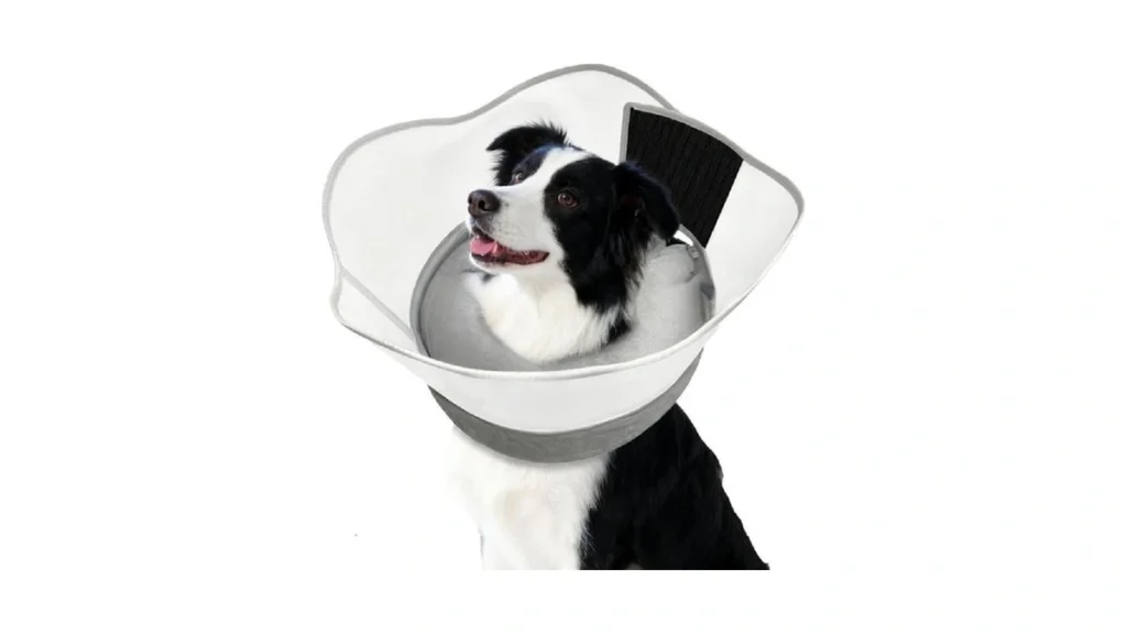 Verified image for post 102852