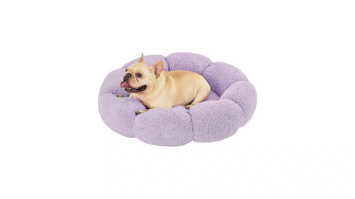 Verified image for post 103072