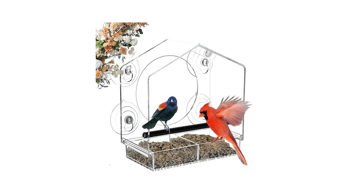 Verified image for post 103250