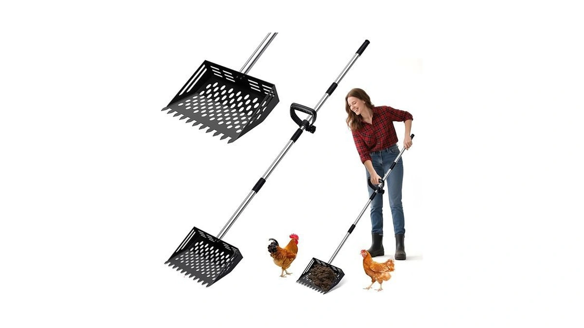 Verified image for post 107521