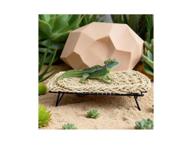 Large Bearded Dragon Tank Accessories13 X7 4 X3… Coupon