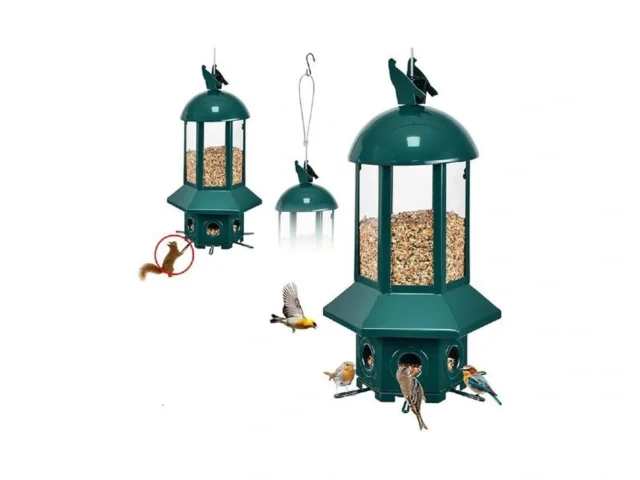 Professional Squirrel Proof Bird Feeders – Sorflife… Code