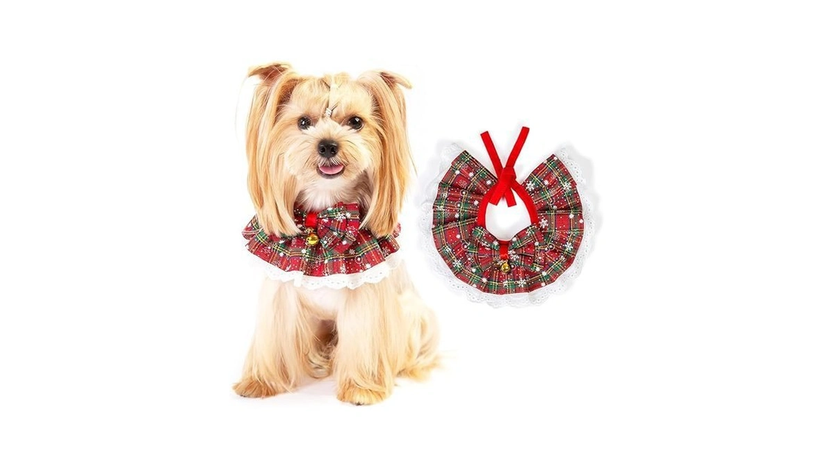 Verified image for post 110089