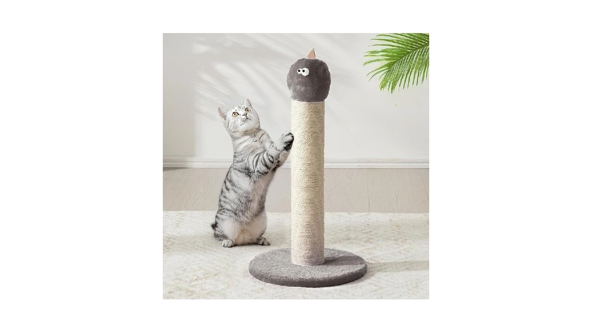 Verified image for post 114100