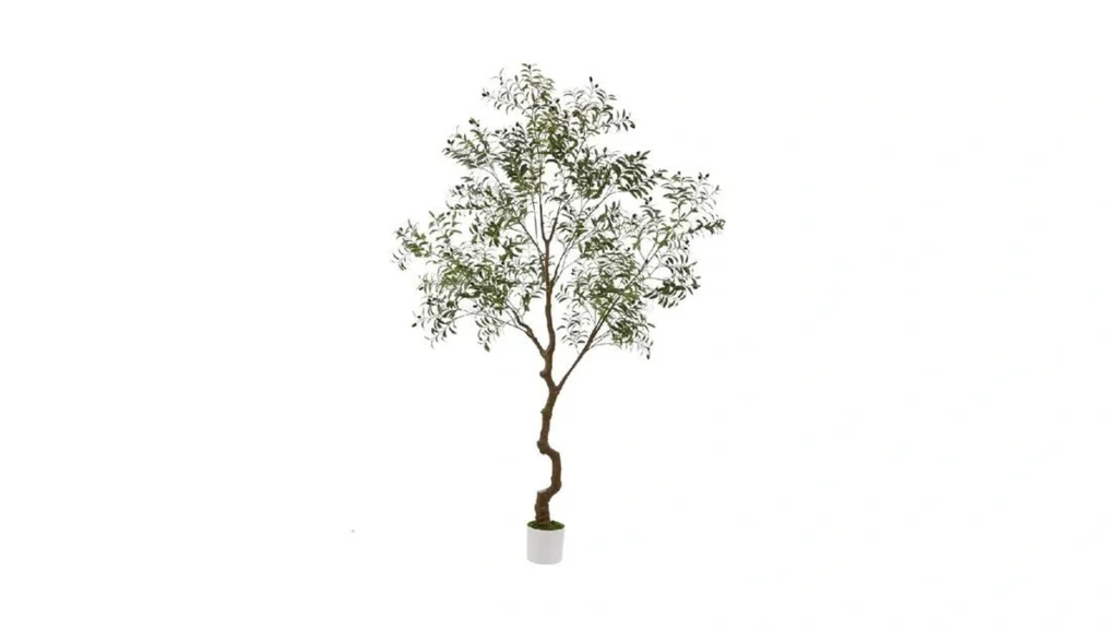 Verified image for post 114492