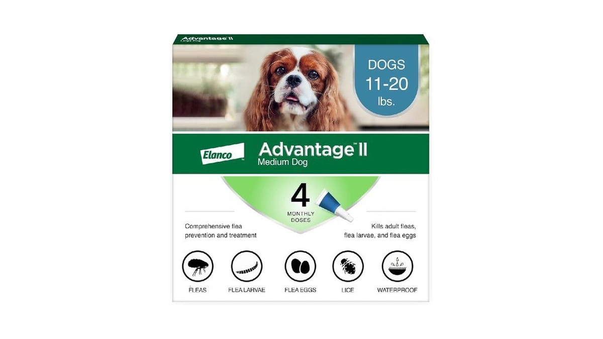 Verified image for post 114712