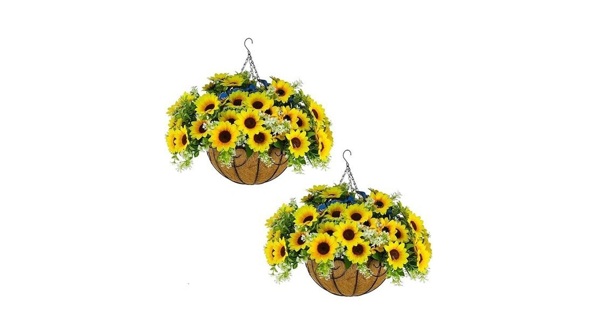 Verified image for post 122314