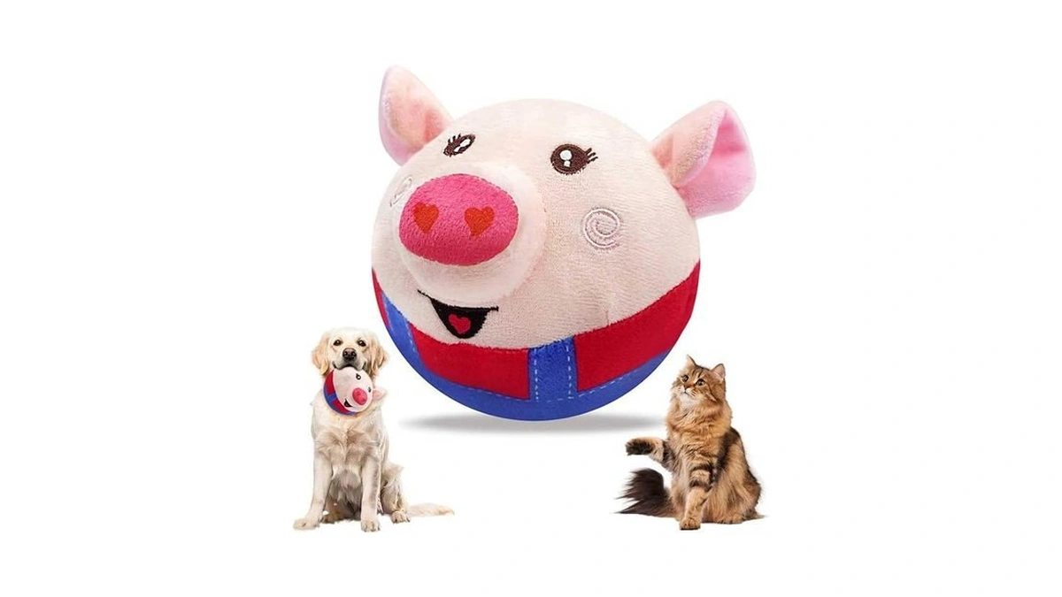 Verified image for post 122818