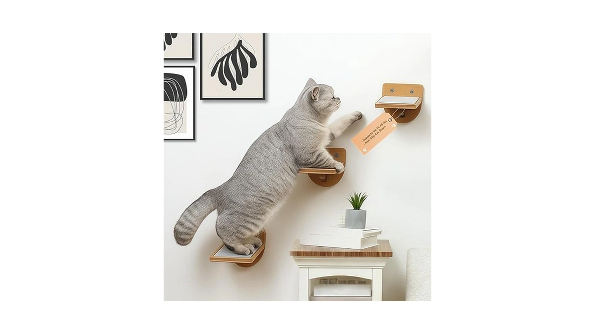 Verified image for post 123730