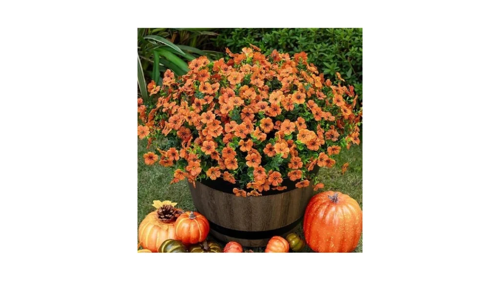 Verified image for post 124108