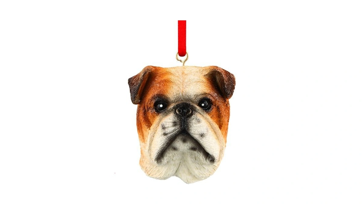 Verified image for post 125804