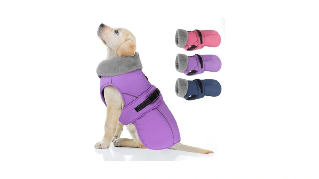 Verified image for post 126700