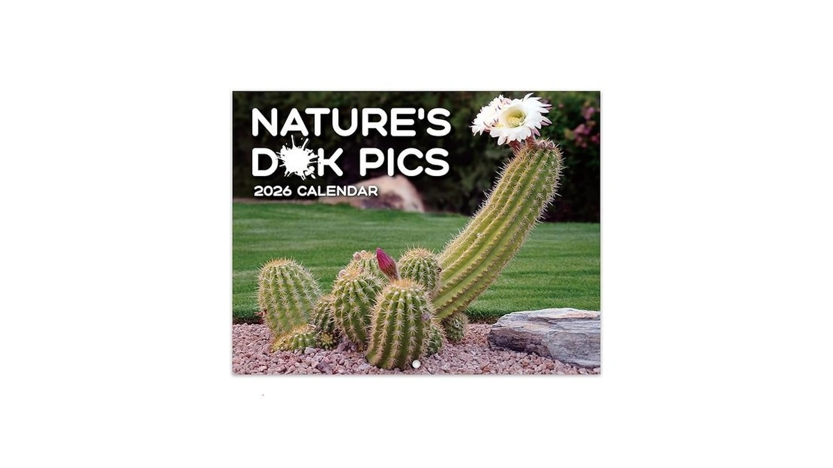 Verified image for post 126906