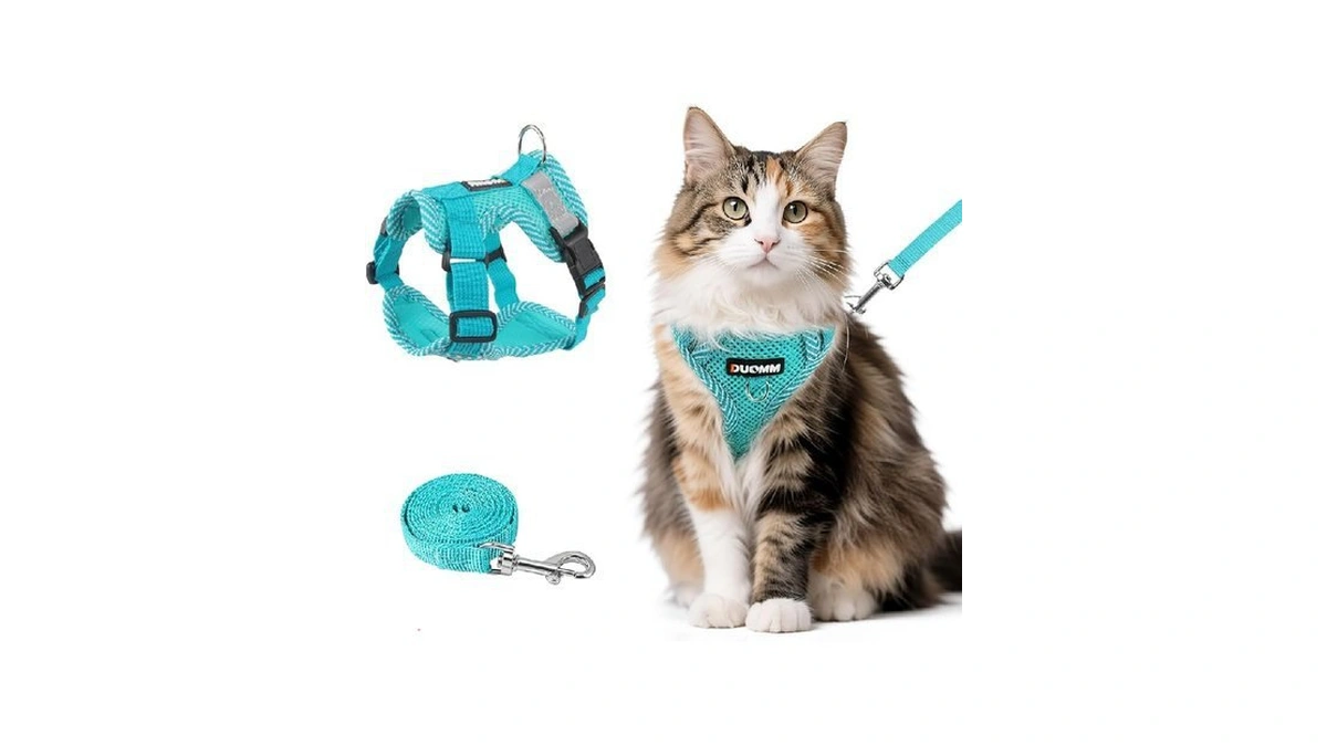 Verified image for post 131702