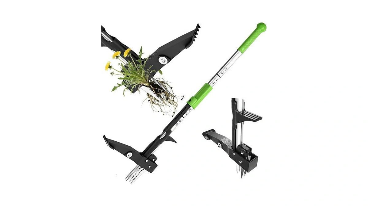 Verified image for post 137472