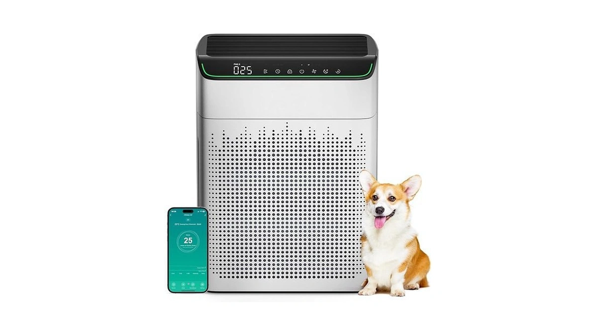 Verified image for post 137657