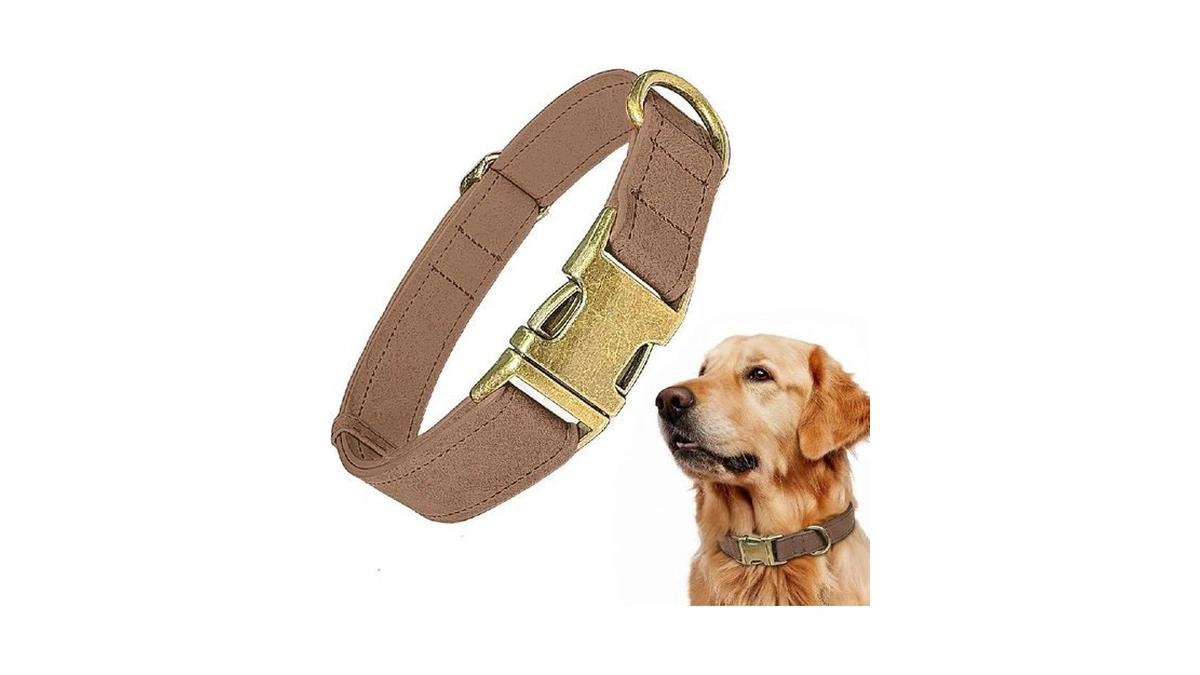 Verified image for post 139712