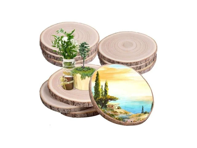 10pcs Wood Slices Unfinished Wood Rounds 7-8 Inches… Code
