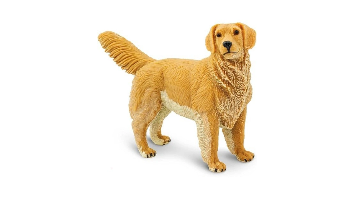 Verified image for post 139928