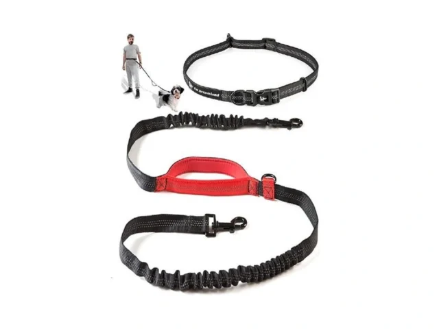 Exquisite Hands-free Leash For Medium Dogs Perfect… Code