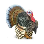 Verified image for post 140306