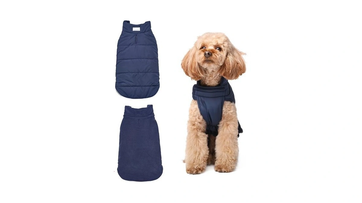 Verified image for post 143276