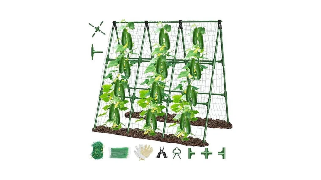 Verified image for post 145100