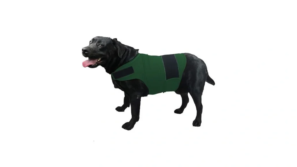 Verified image for post 145126