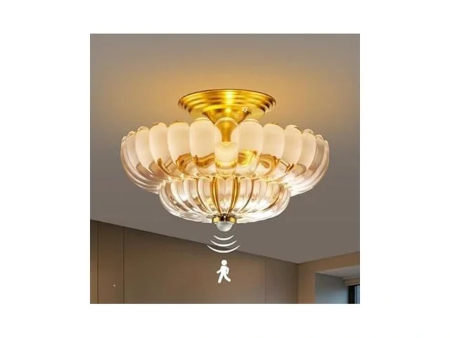 Lminghon Motion Sensor Semi Flush Light 2-light 12… Code