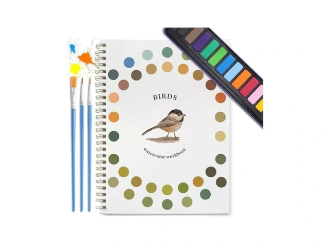 Dancart Watercolor Kit With Outlines 12 Colors… Code