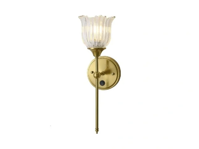 Boxcupin Modern Wall Sconces With Clear Flower… Code