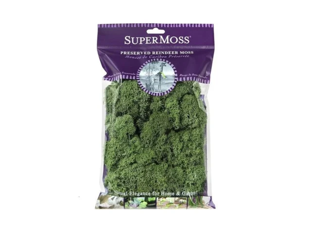 Supermoss 23080 Reindeer Moss Preserved Basil 2 Ounces
