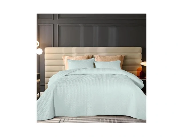 Rosecret Velvet Quilt Queen Size Luxurious Quilted… Coupon