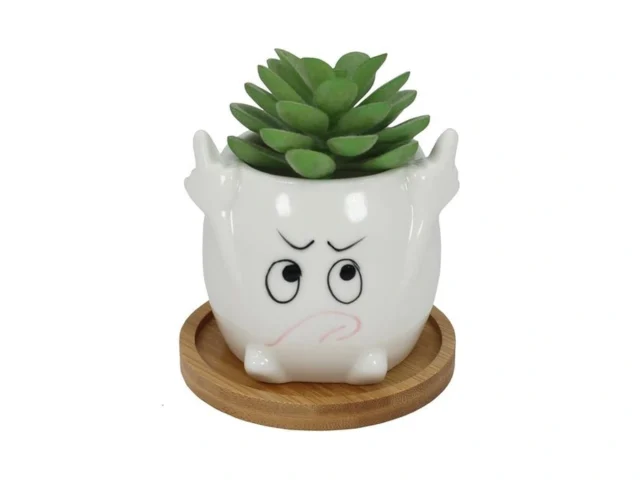 Gemseek Funny Face Succulent Planter Pot With… Coupon