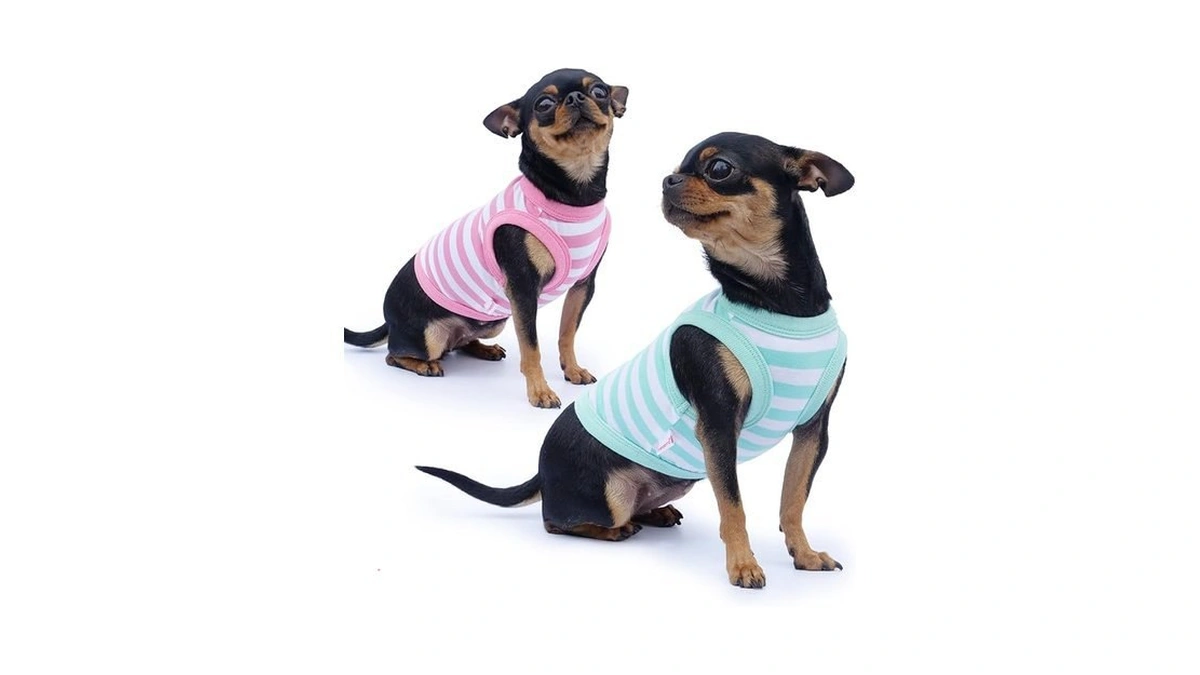 Verified image for post 164094