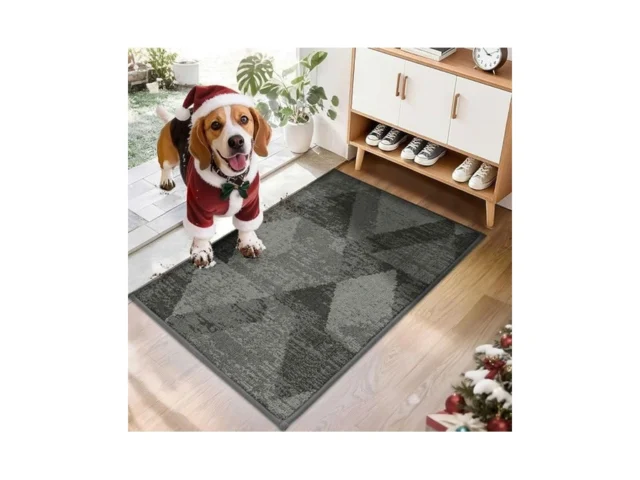 Cosy Homeer Entryway Rugs Doormat 20 X32 Non-slip… Code