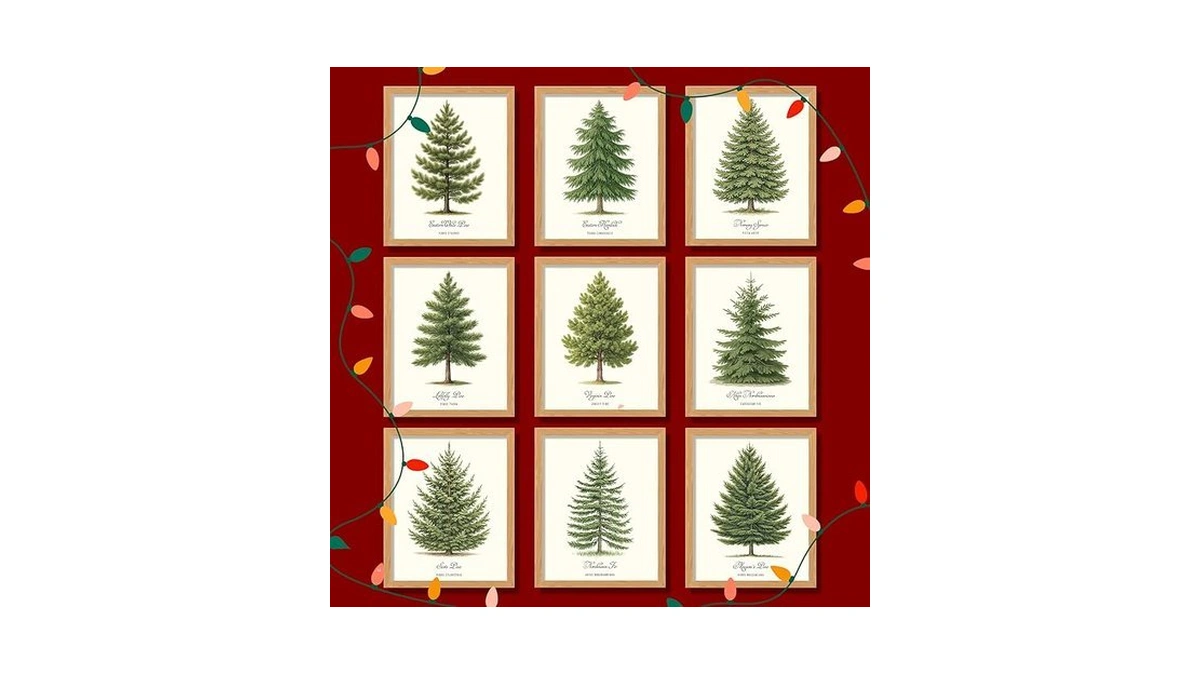 Verified image for post 166944