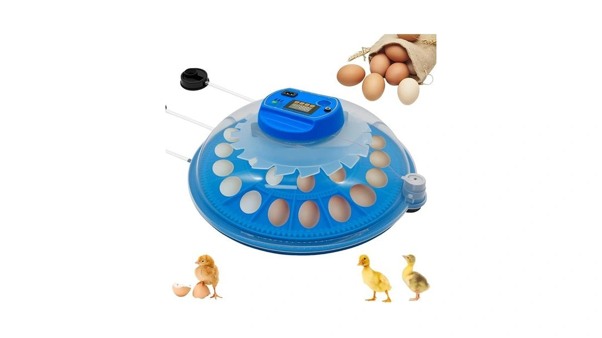 Verified image for post 166950