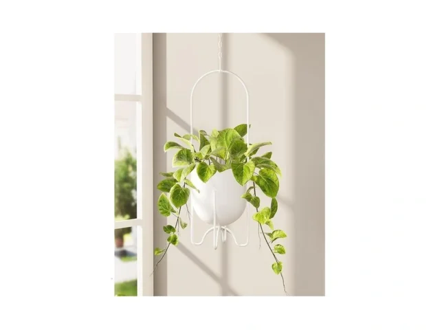 Bamworld Hanging Planter For Indoor Plants Metal… Code