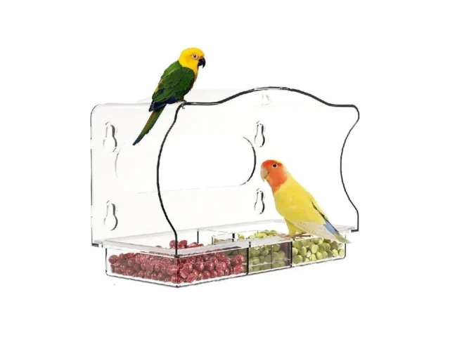 Window Bird Feeder With Strong Suction Cups – Clear… Code