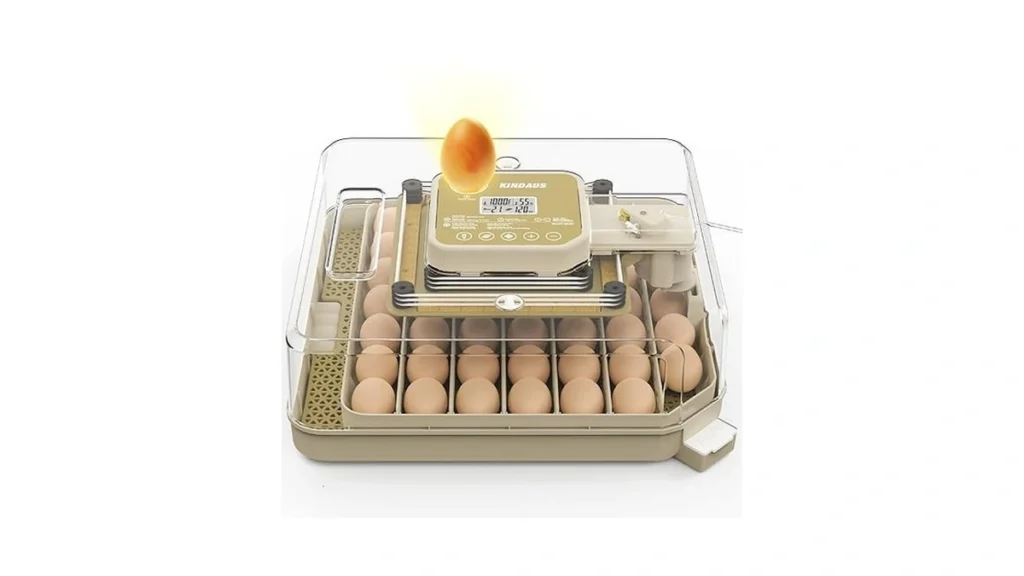 Verified image for post 170026