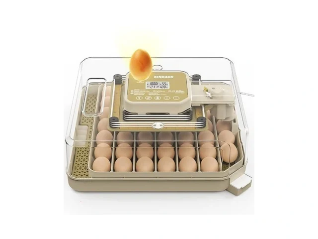 Egg Incubators For Hatching Eggs Egg Incubator With… Code