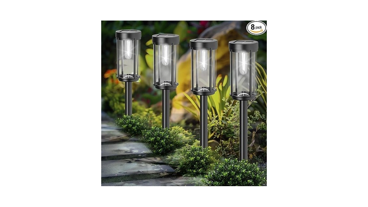 Verified image for post 170036