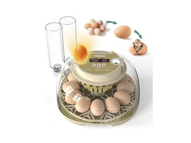 Egg Incubators For Hatching Eggs Egg Incubator With… Code