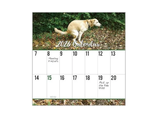 2026 Wall Calendar – 12 Monthly Wall Funny Calendar… Code