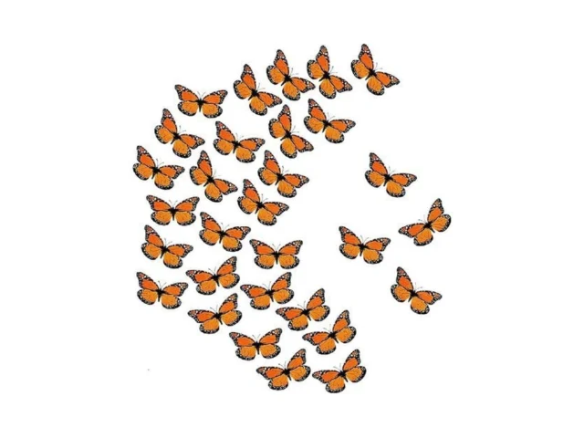 Funupup 30pcs Monarch Butterfly Halloween… Code