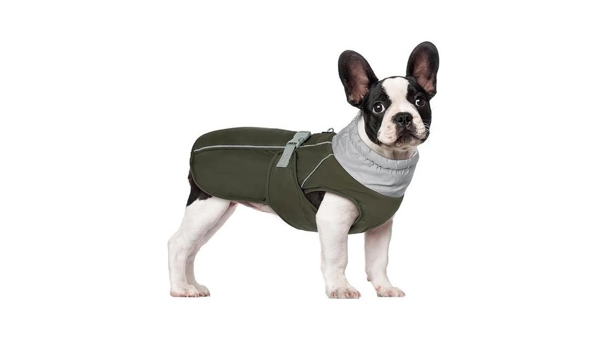 Verified image for post 171480