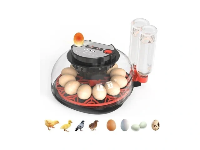 Nwh 12 Egg Incubator With Temperature And Humidity… Code