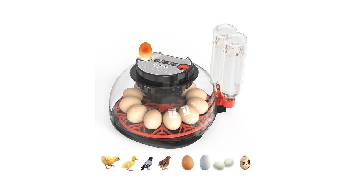 Verified image for post 173084